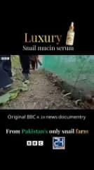 BBC & 24 News Interview thumbnail